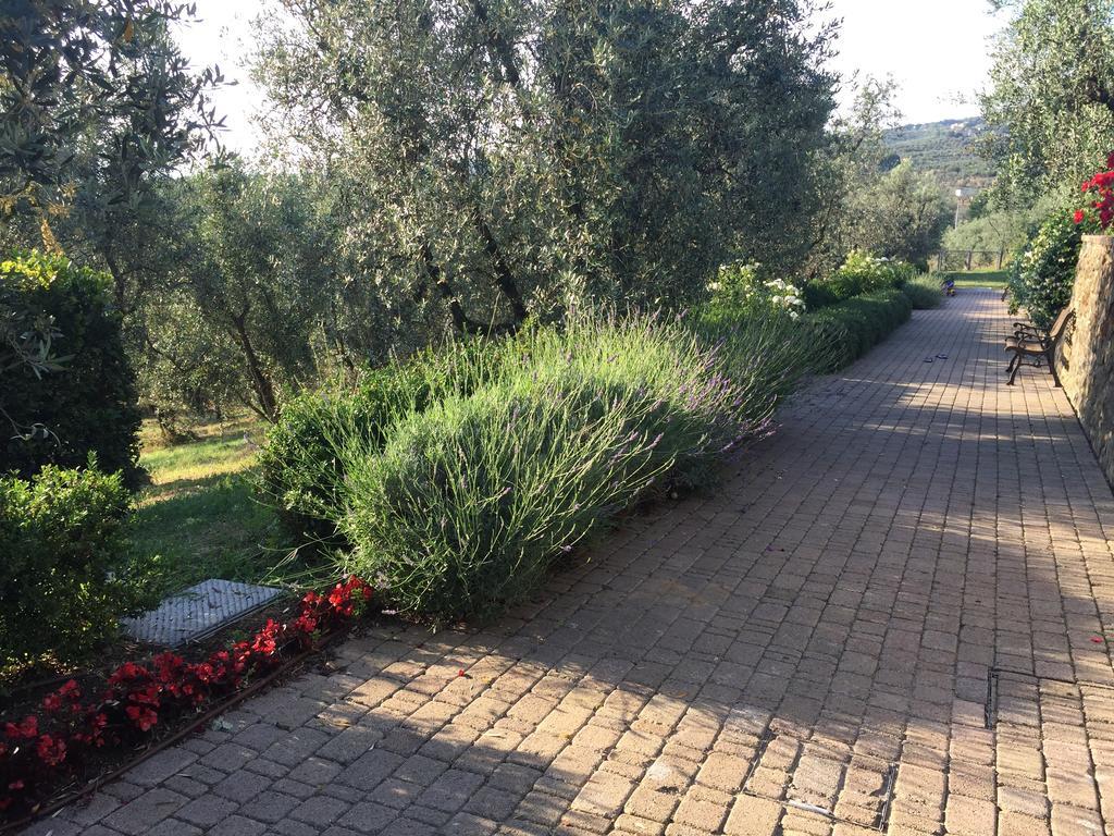 Podere Jana Antico Frantoio Vinci Ngoại thất bức ảnh